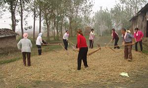 潜江民歌：楚歌遗风的典型代表