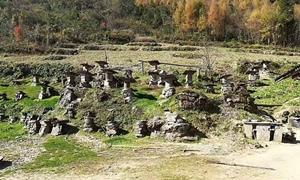  落羊河村：绿水青山好“蜂”景